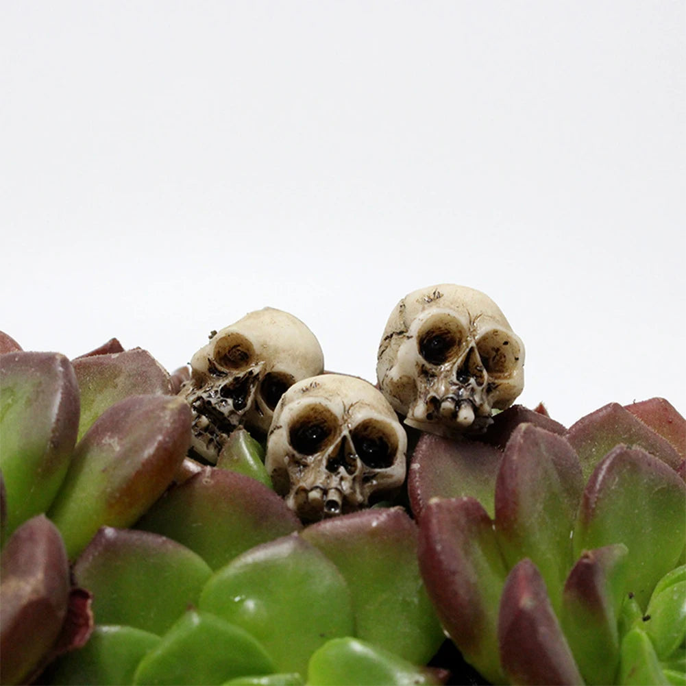 20Pcs Mini Skull Heads Collectable Halloween Sculptures