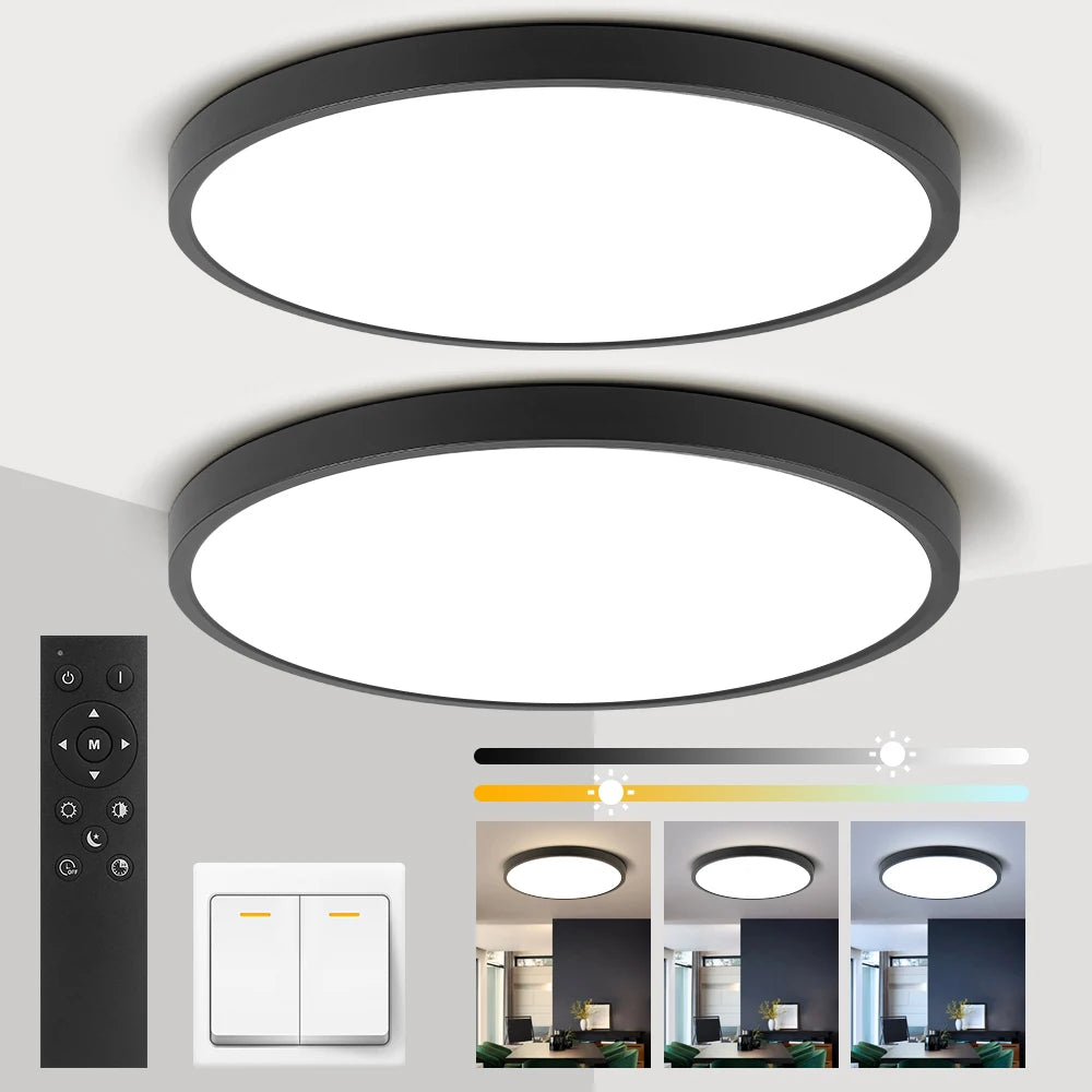 Dimmable Ceiling Light 110V Led Fixture With Remote