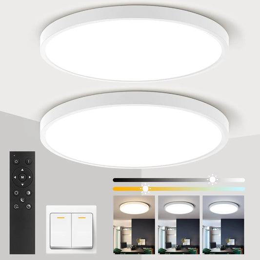 Dimmable Ceiling Light 110V Led Fixture With Remote